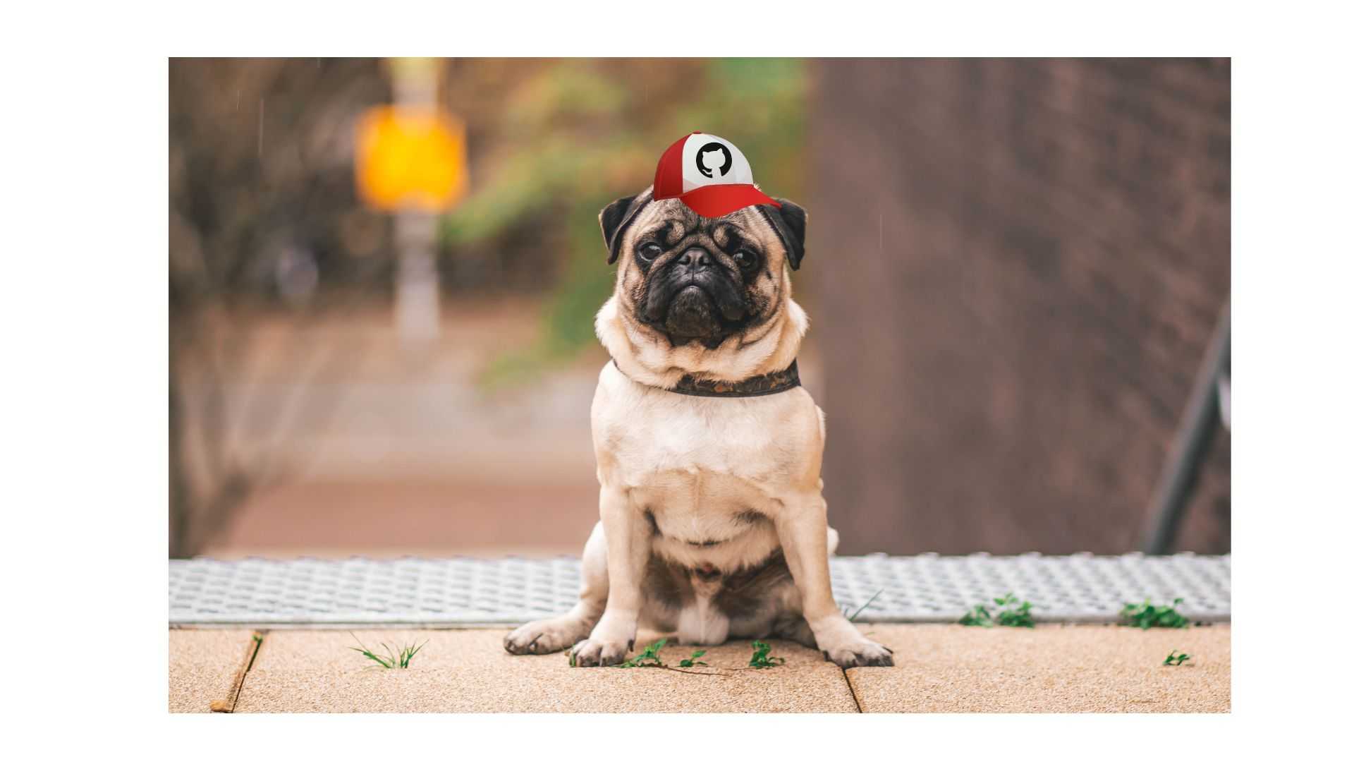 /gerald-the-github-pug/